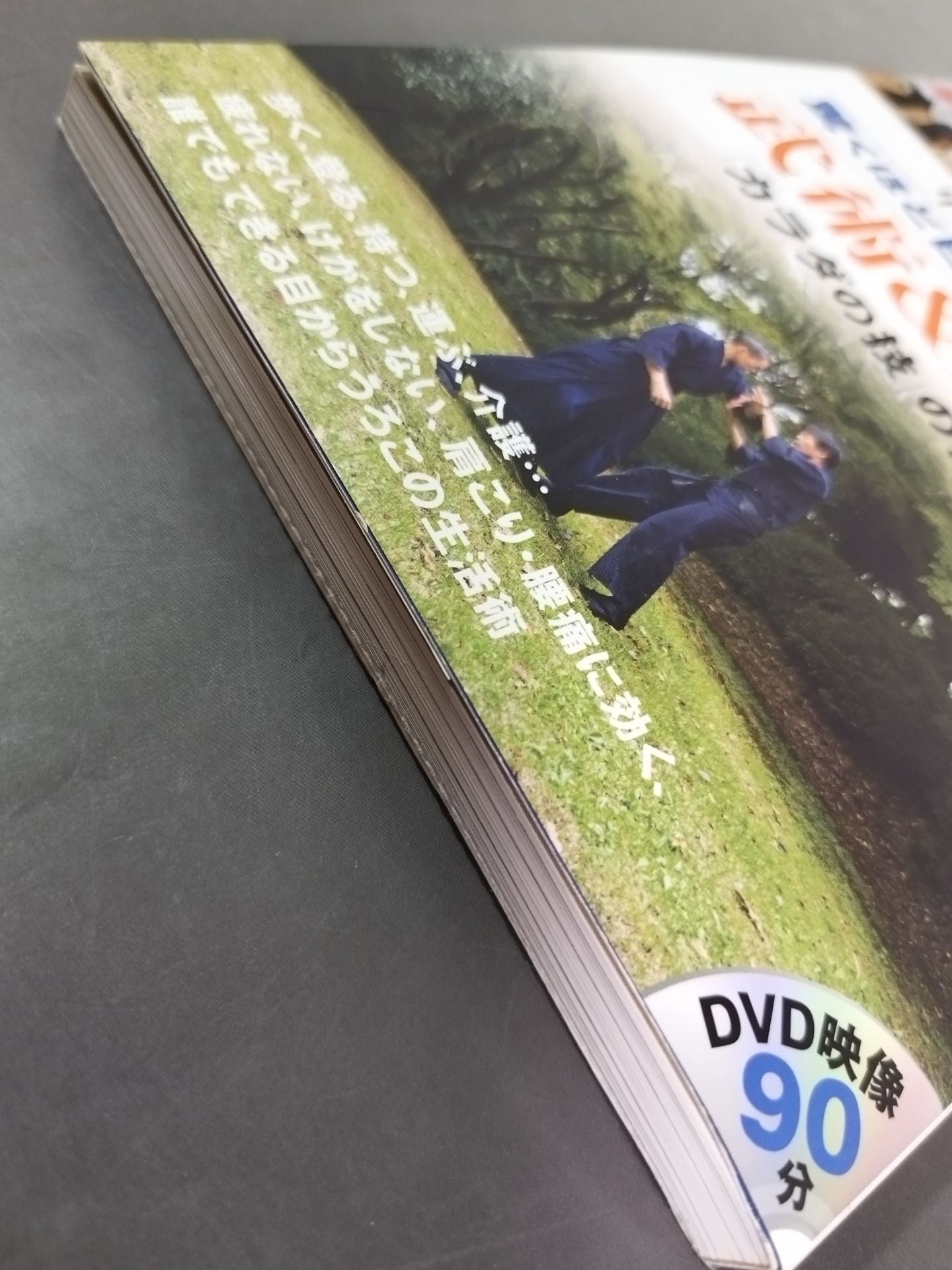 【DVD付】驚くほど日常生活を楽にする武術&身体術