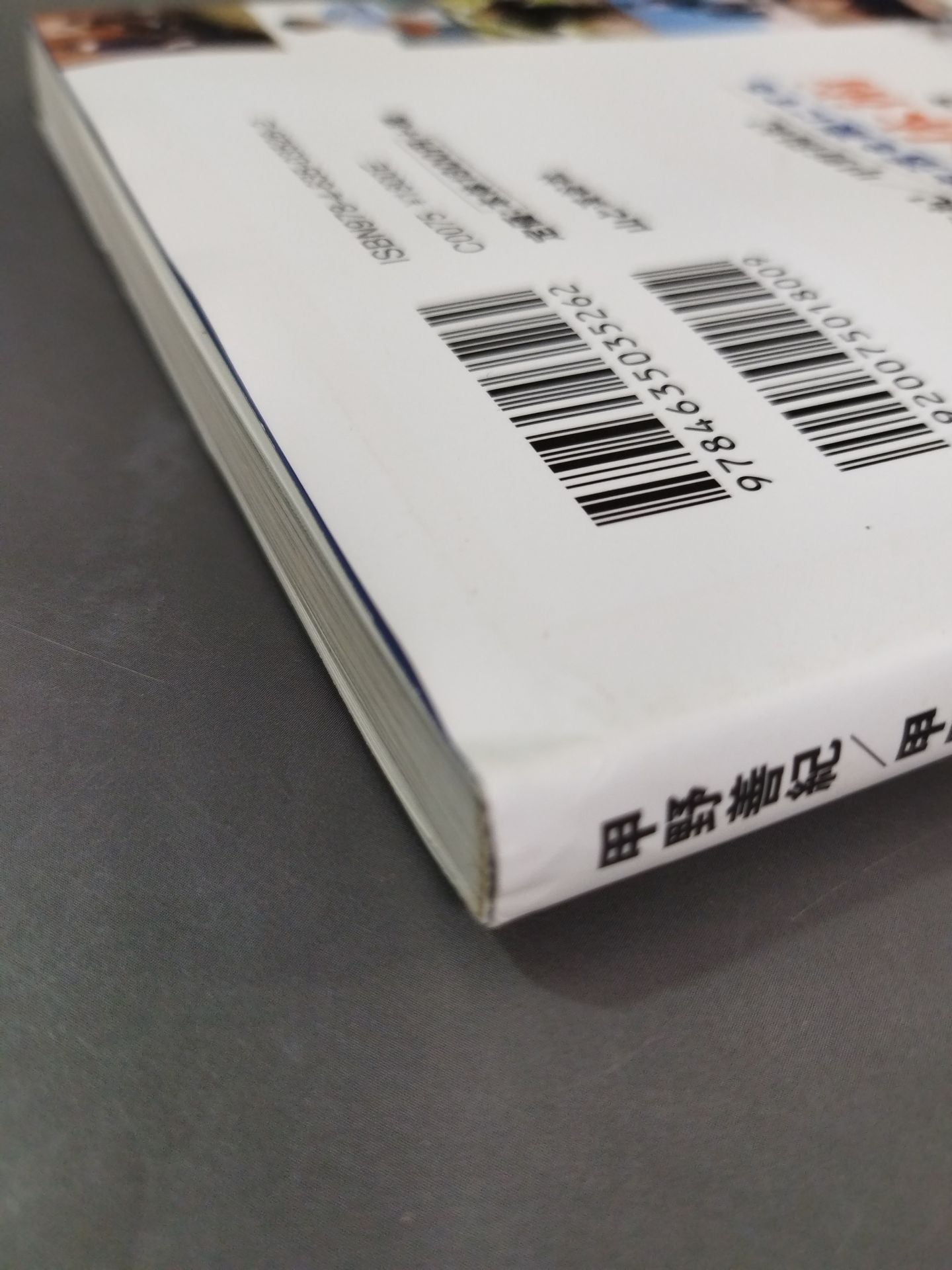 【DVD付】驚くほど日常生活を楽にする武術&身体術