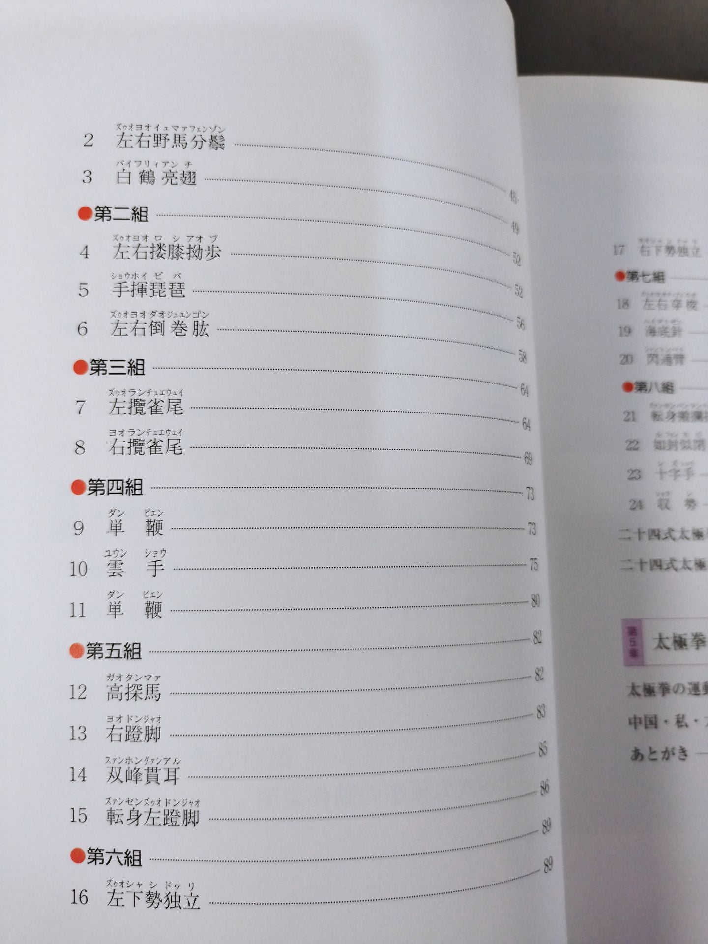 【DVD付】美と健康のために 太極拳入門 二十四式