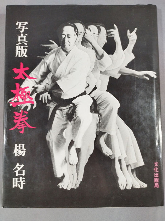 写真版 太極拳