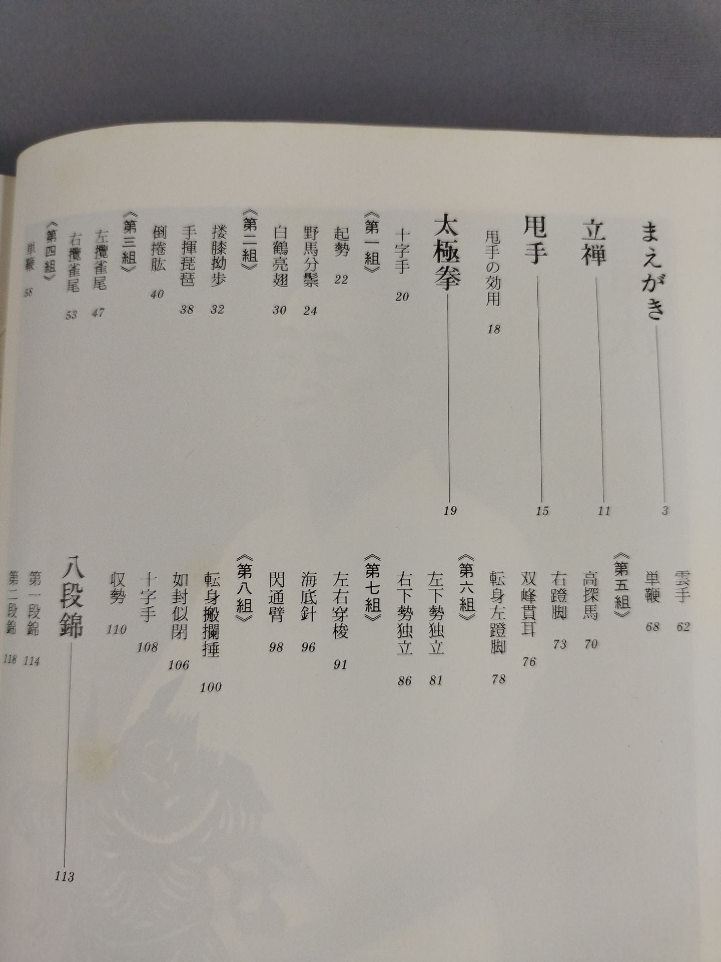写真版 太極拳