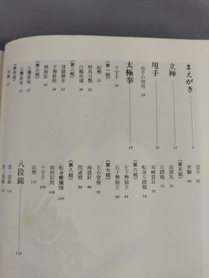 写真版 太極拳