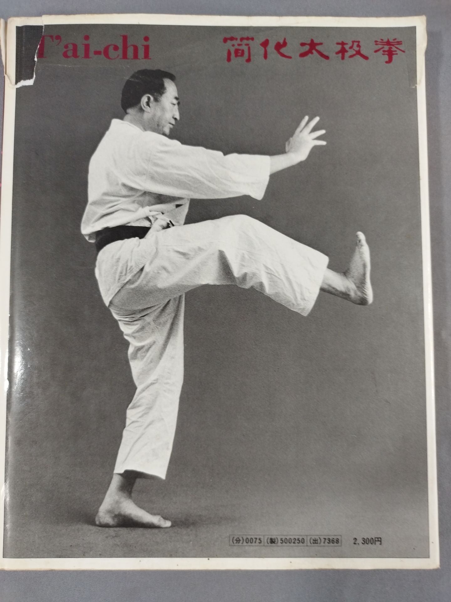 写真版 太極拳