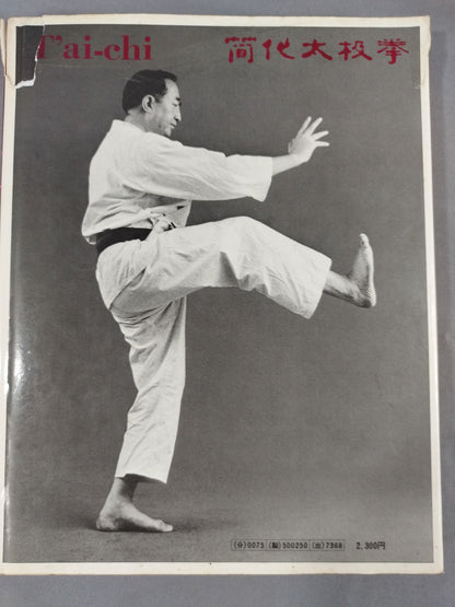 写真版 太極拳