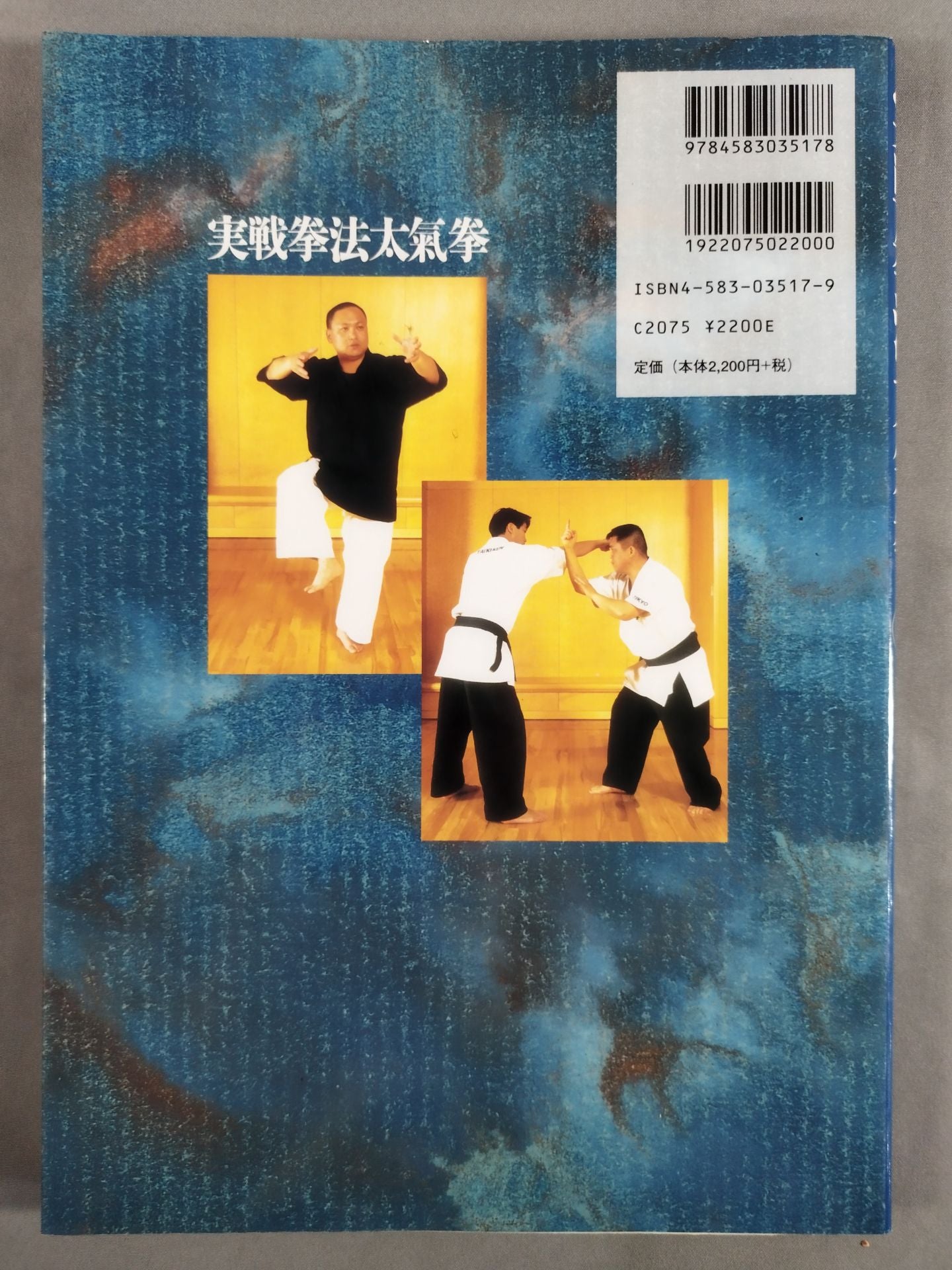 実戦拳法太氣拳