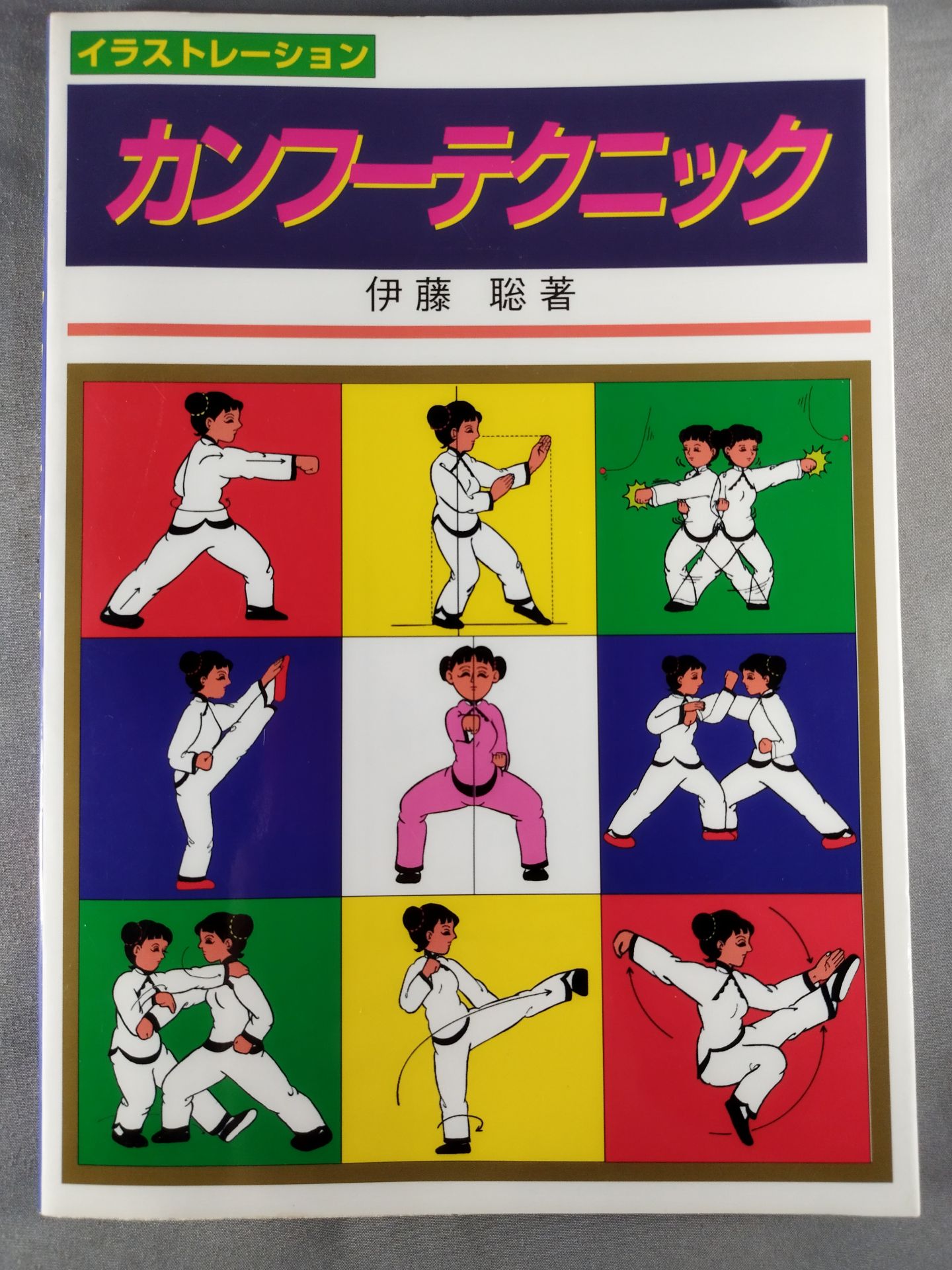 イラストレーション カンフーテクニック