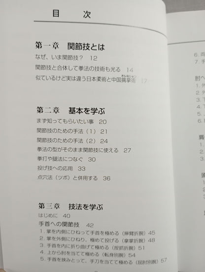 【DVD付】改訂版 発勁のしくみ