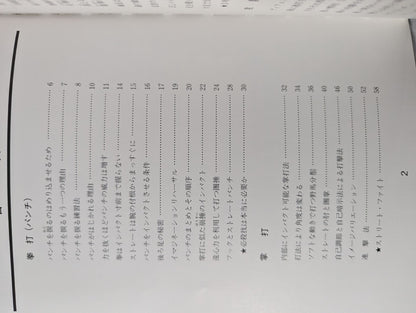 中国拳法 打撃法