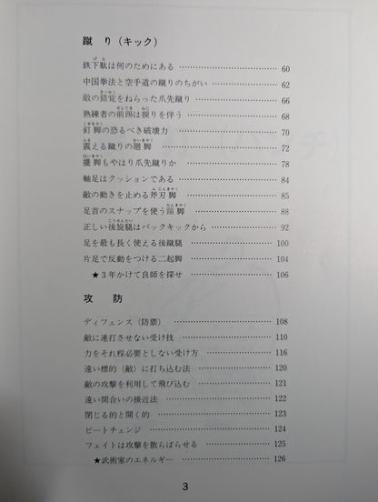 中国拳法 打撃法