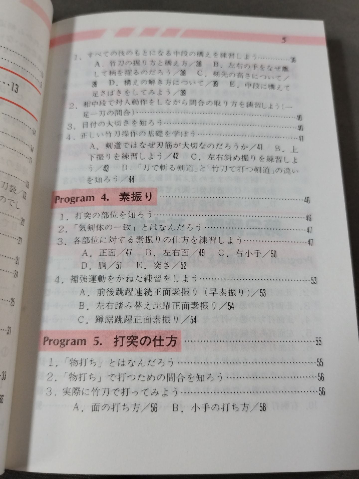 Illustrated Coach Kendo Practice Program