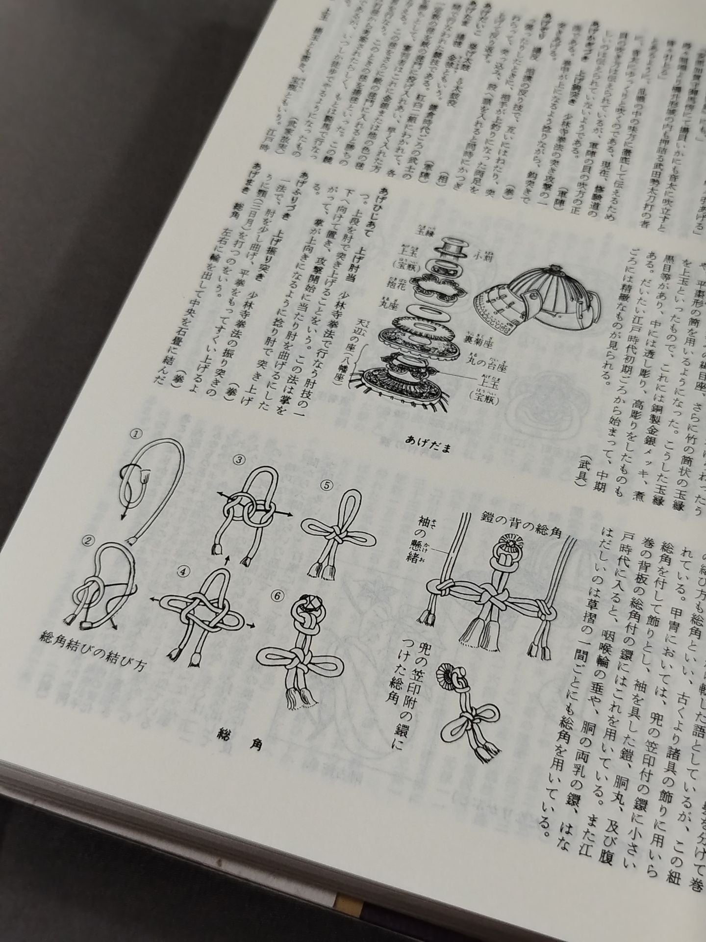 Illustrated Japan Martial Arts Dictionary Popular Edition