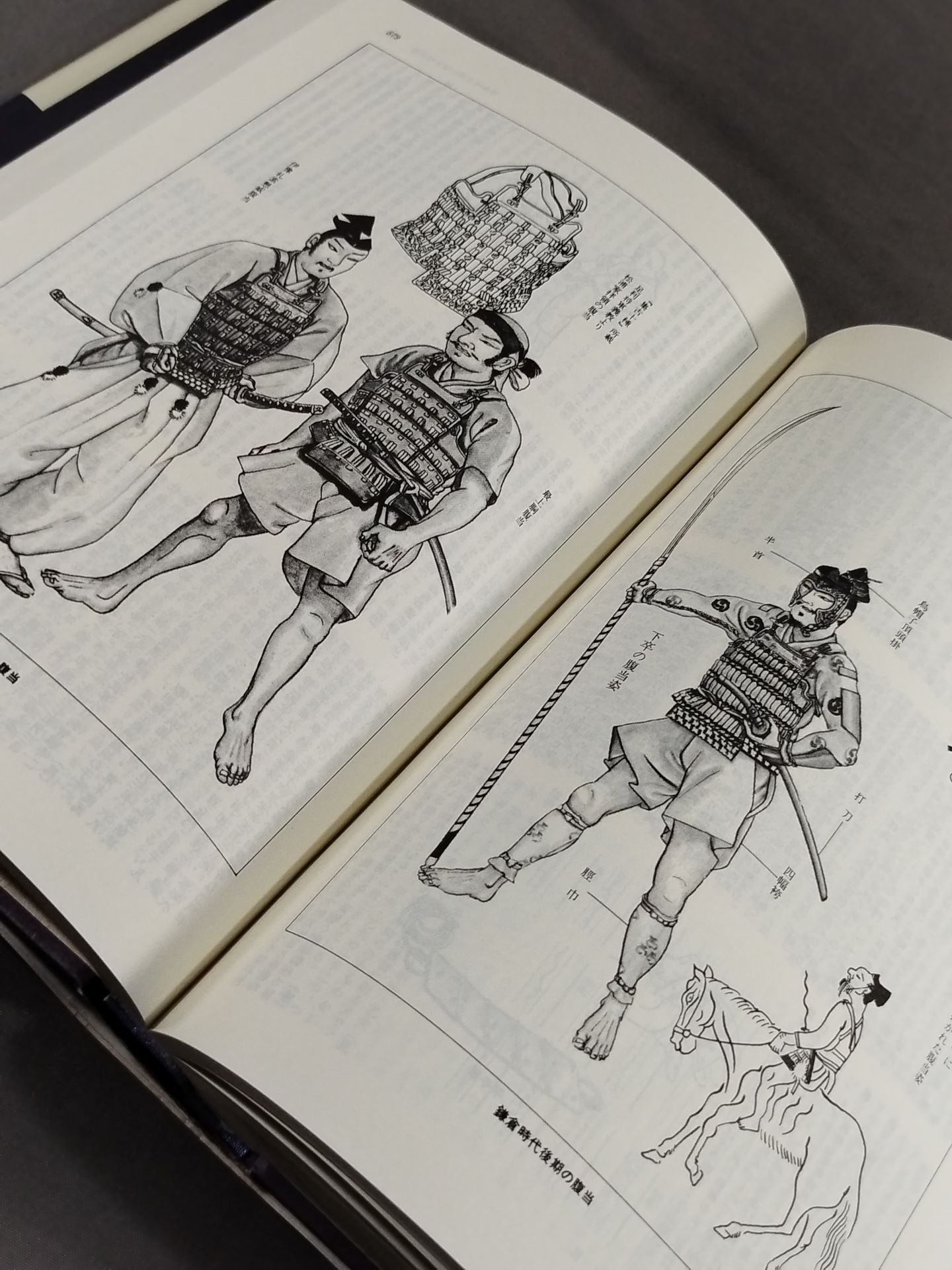 Illustrated Japan Martial Arts Dictionary Popular Edition