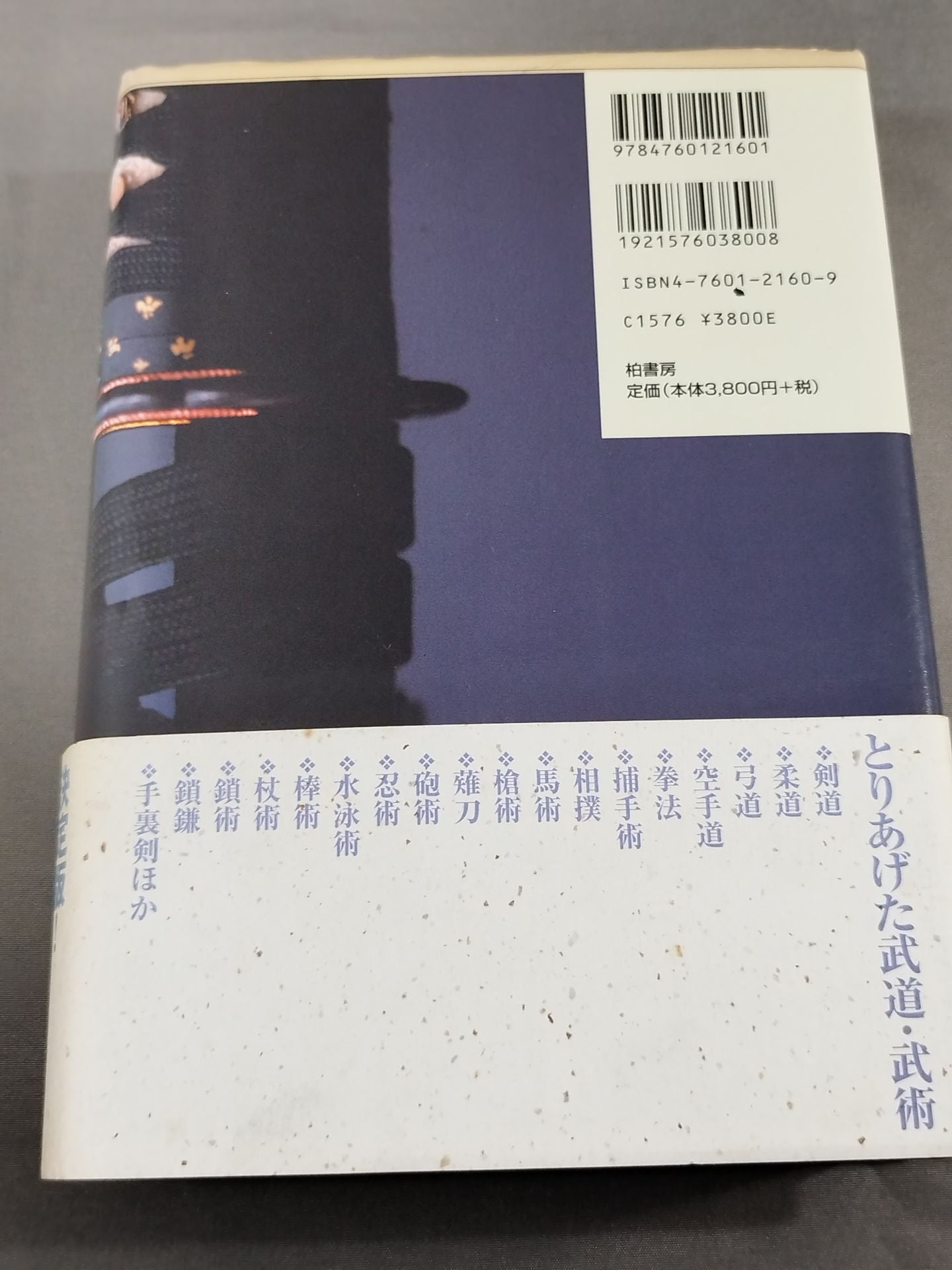 Illustrated Japan Martial Arts Dictionary Popular Edition