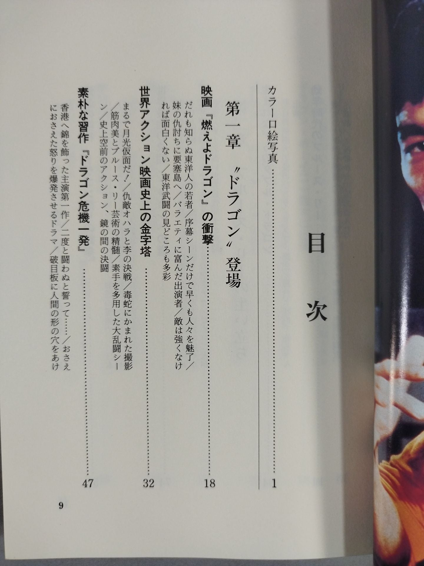 All about the glorious dragon Bruce Lee