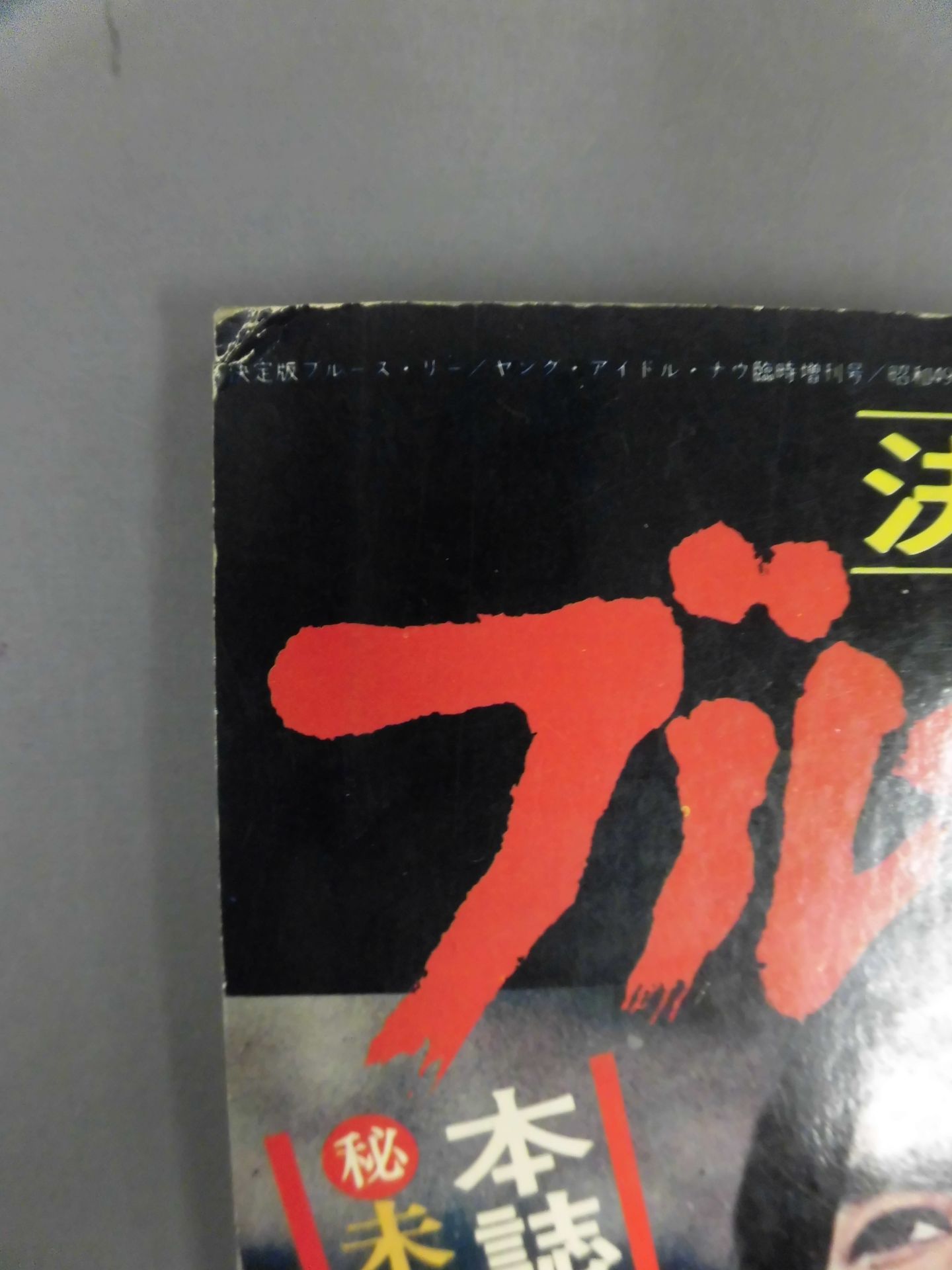 決定版ブルース・リー ヤングアイドルナウ臨時増刊号