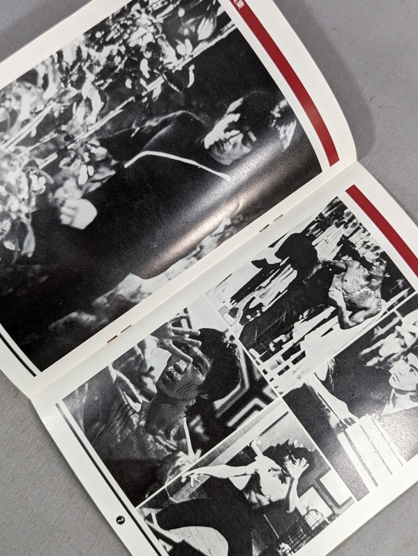 BRUCE LEE SPECIAL FAN MAGAZINE VOL.5