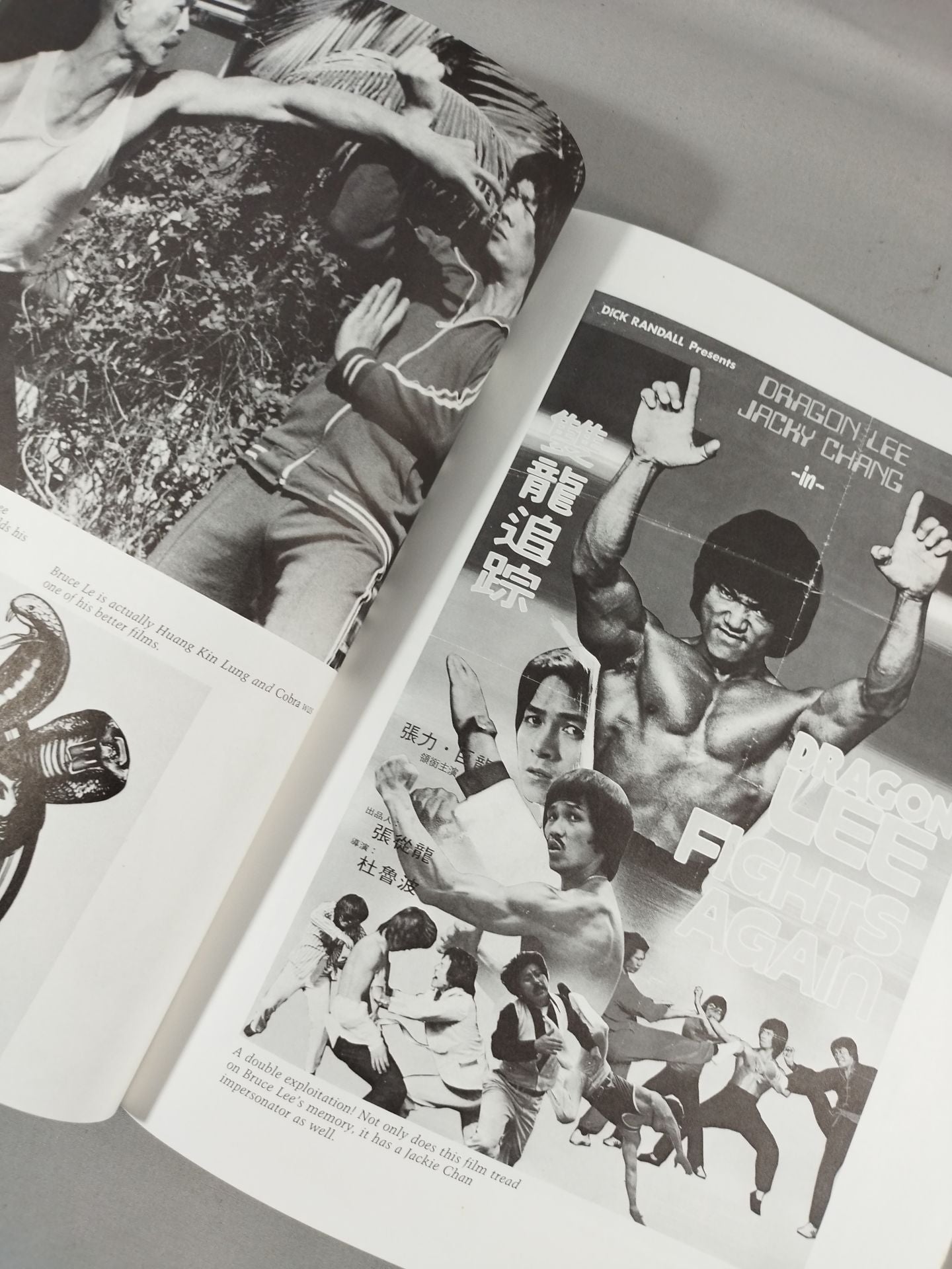 FROM BRUCE LEE TO THE NINJAS