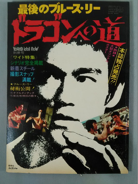 最後のブルース・リー ドラゴンへの道 ヤングアイドルナウ臨時増刊号