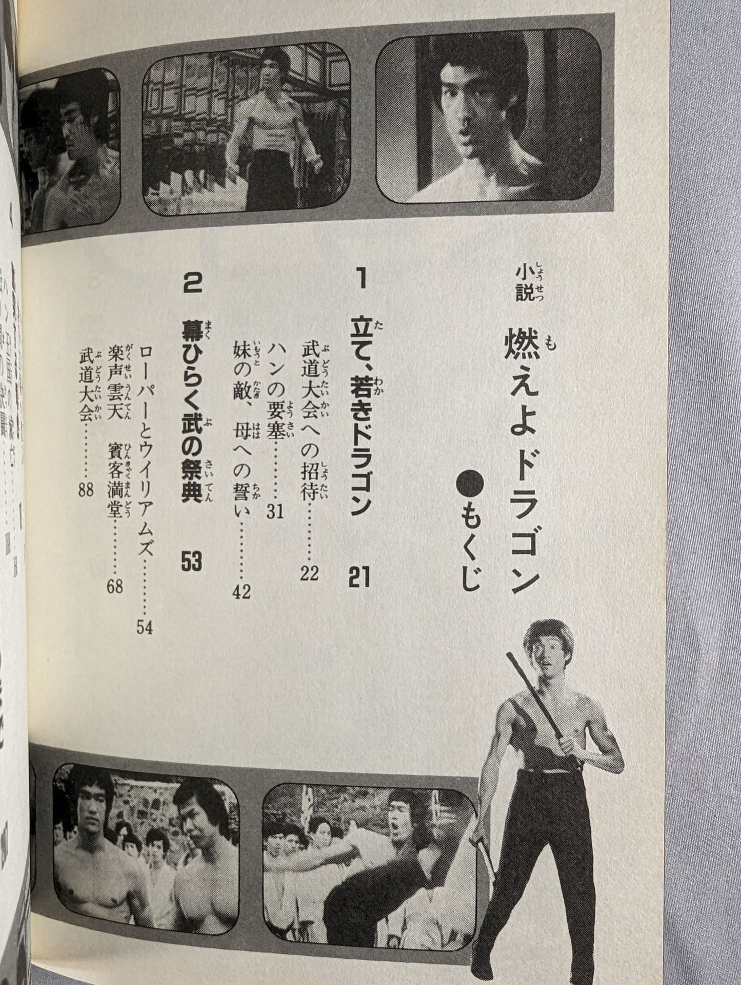 Novel Burning Dragon Movie Novels