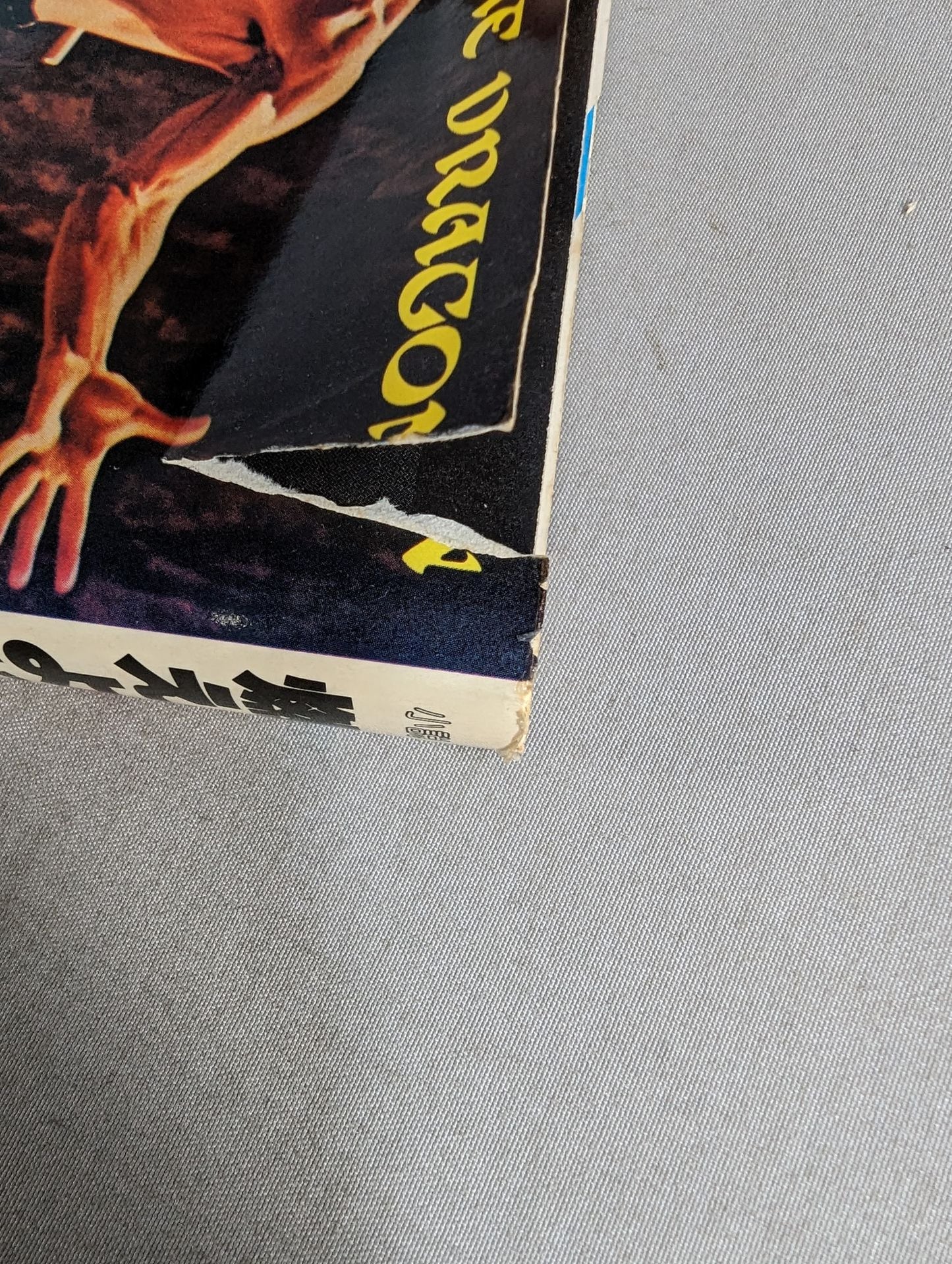 Novel Burning Dragon Movie Novels