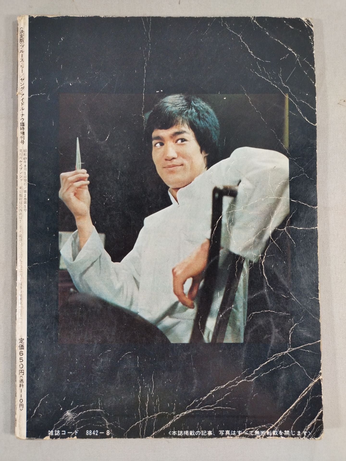 Definitive Edition Bruce Lee  Young Idol Now Special Issue