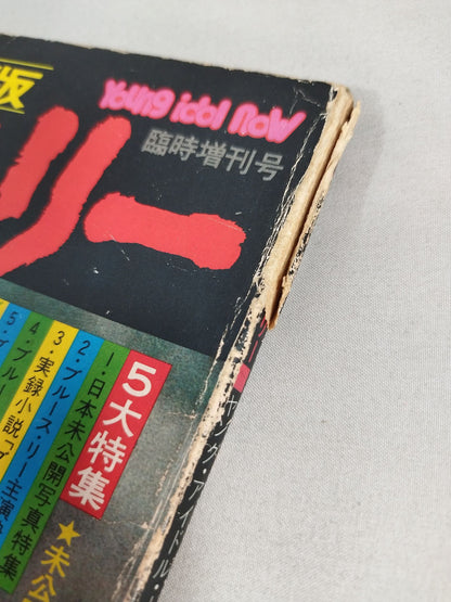 Definitive Edition Bruce Lee  Young Idol Now Special Issue