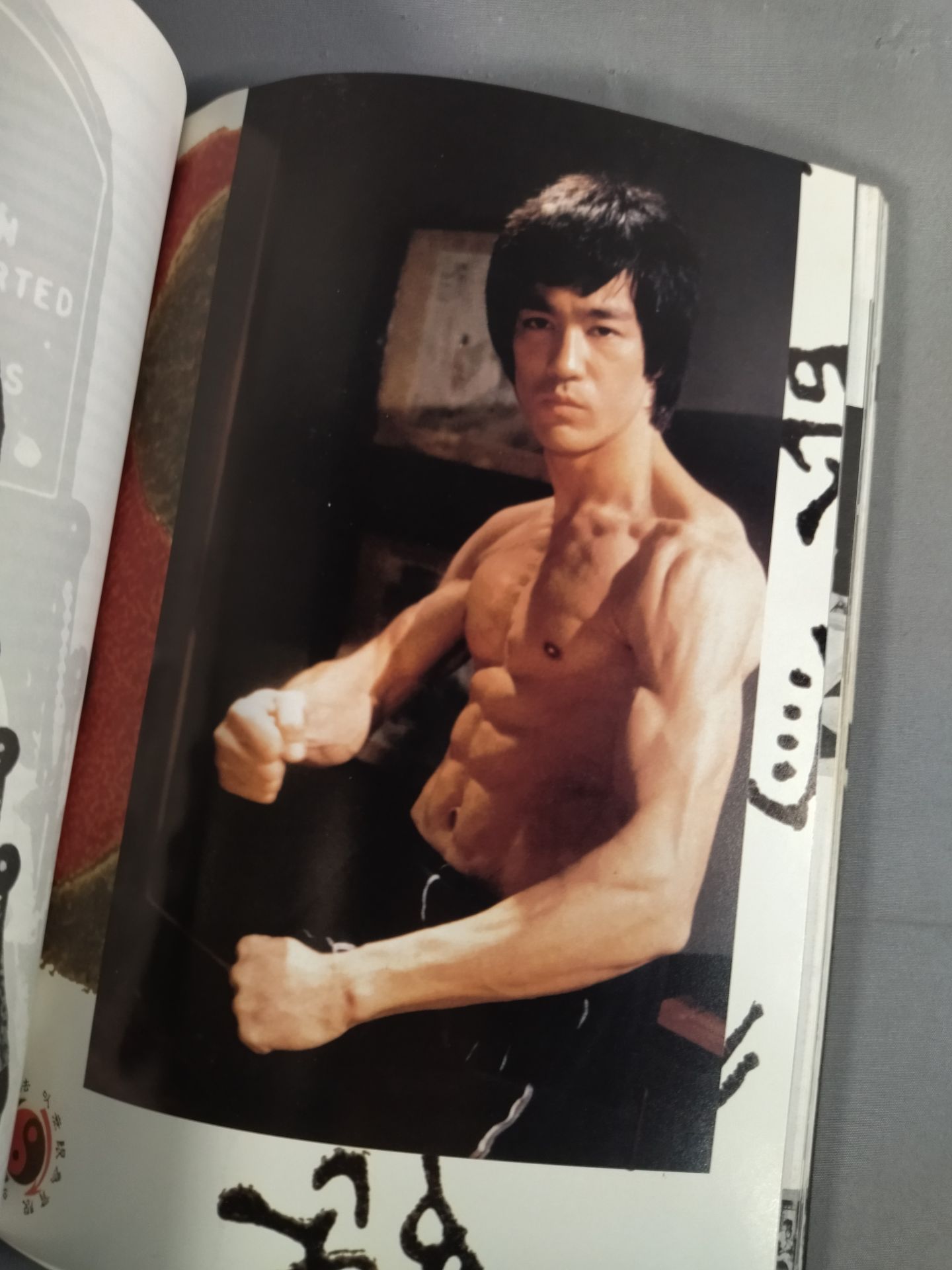 BRUCE LEE THE TAO OF THE DRAGON WARRIOR