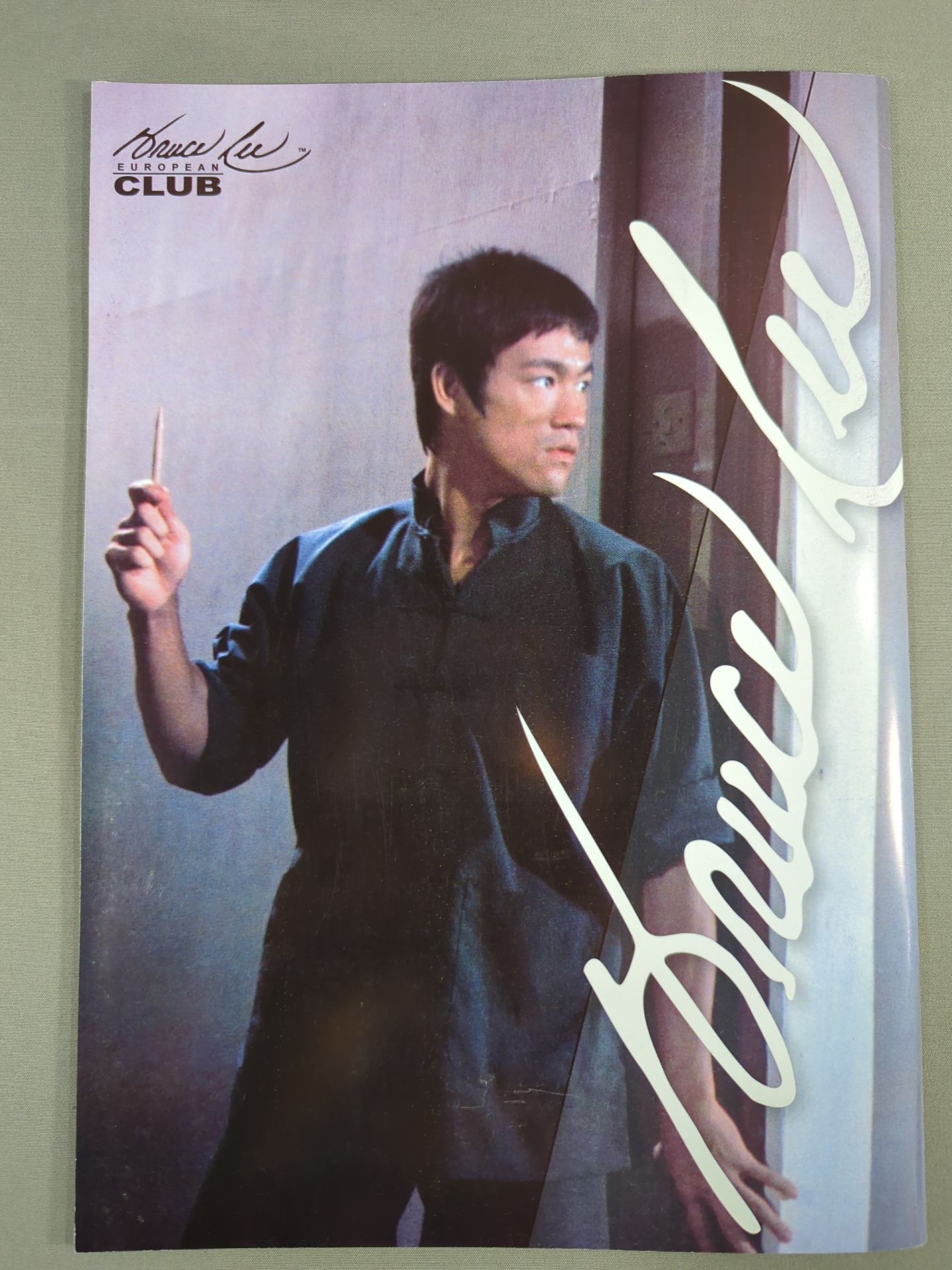 BRUCE LEE MANIA No.12