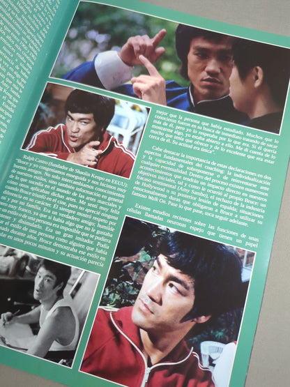 BRUCE LEE MANIA No.13