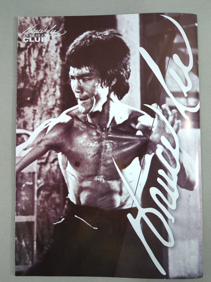 BRUCE LEE MANIA No.13