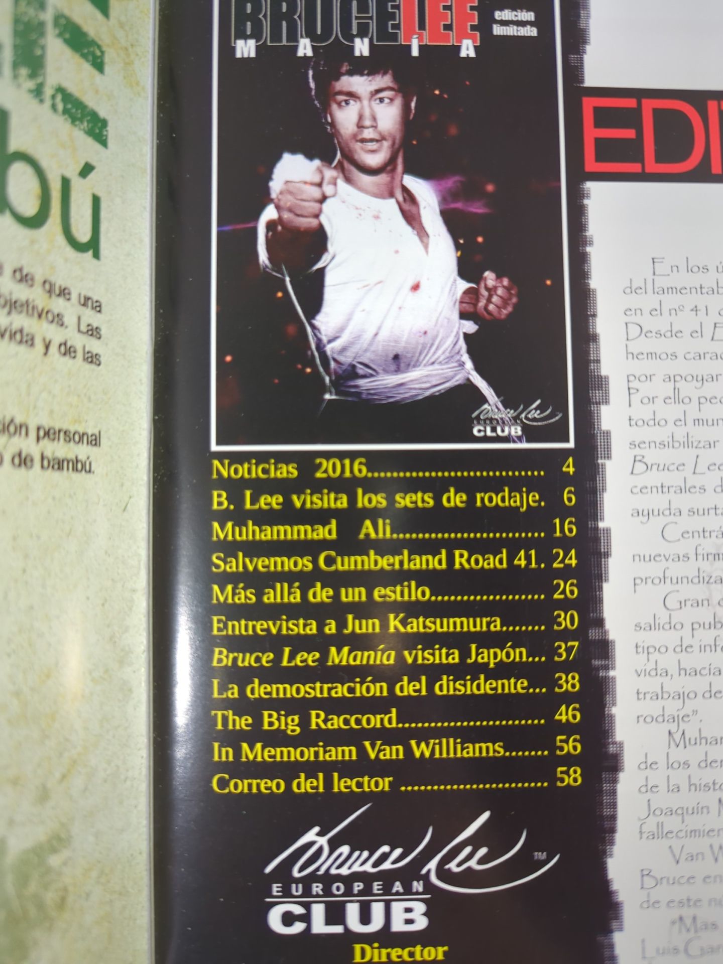 BRUCE LEE MANIA No.17