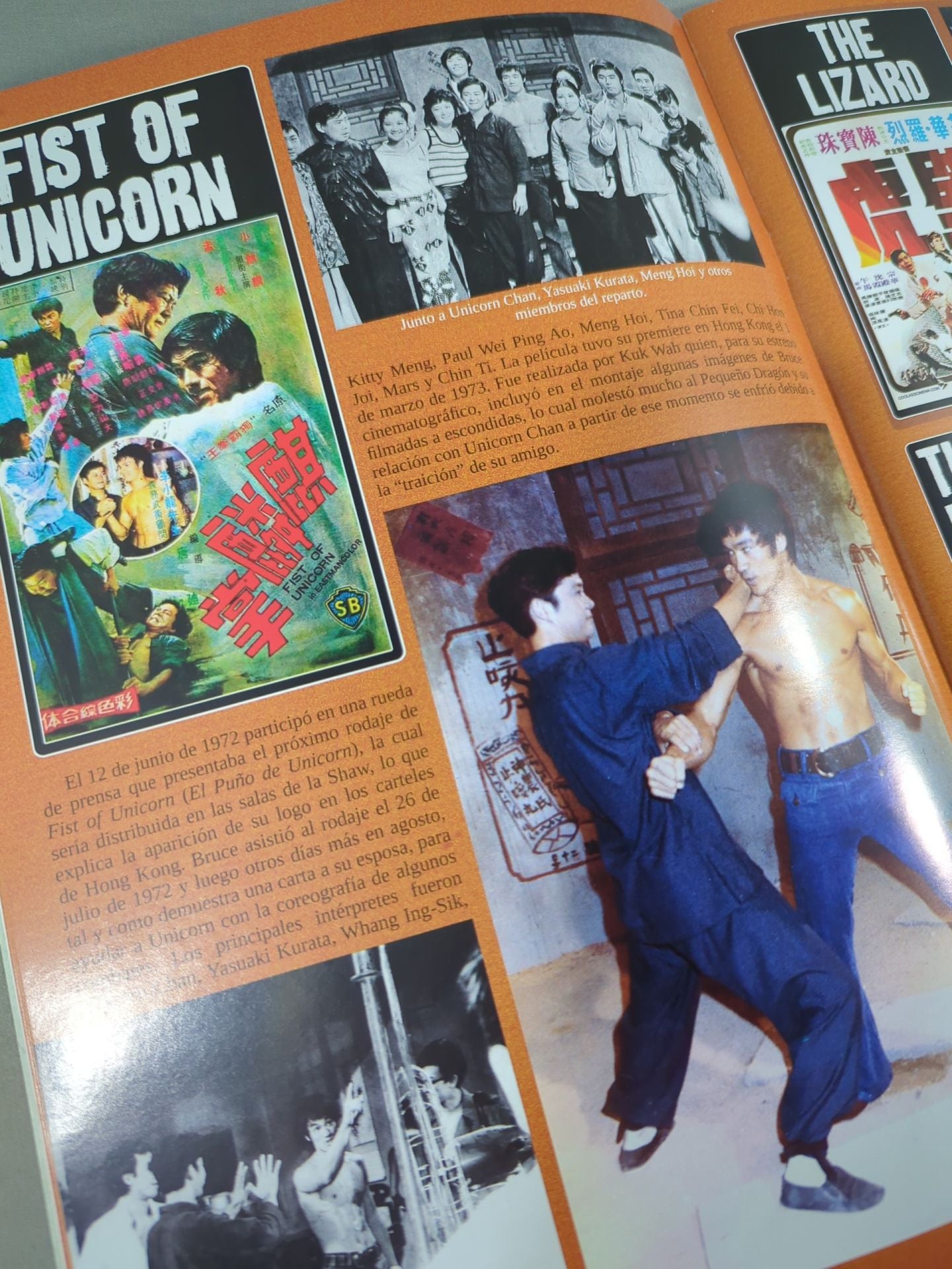 BRUCE LEE MANIA No.17