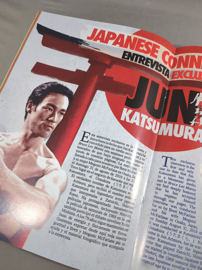 BRUCE LEE MANIA No.17