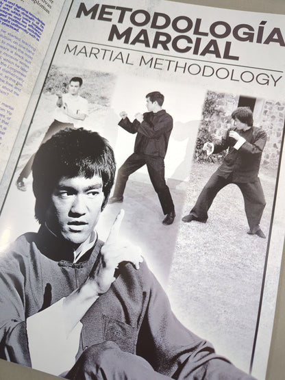 BRUCE LEE MANIA No.22