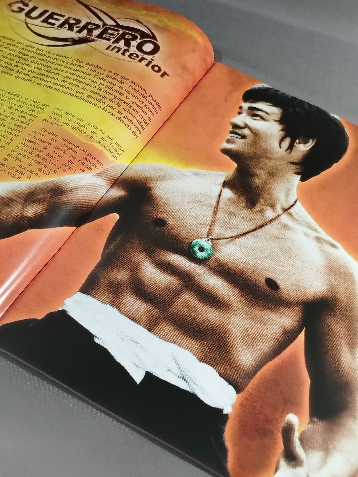 BRUCE LEE MANIA No.7