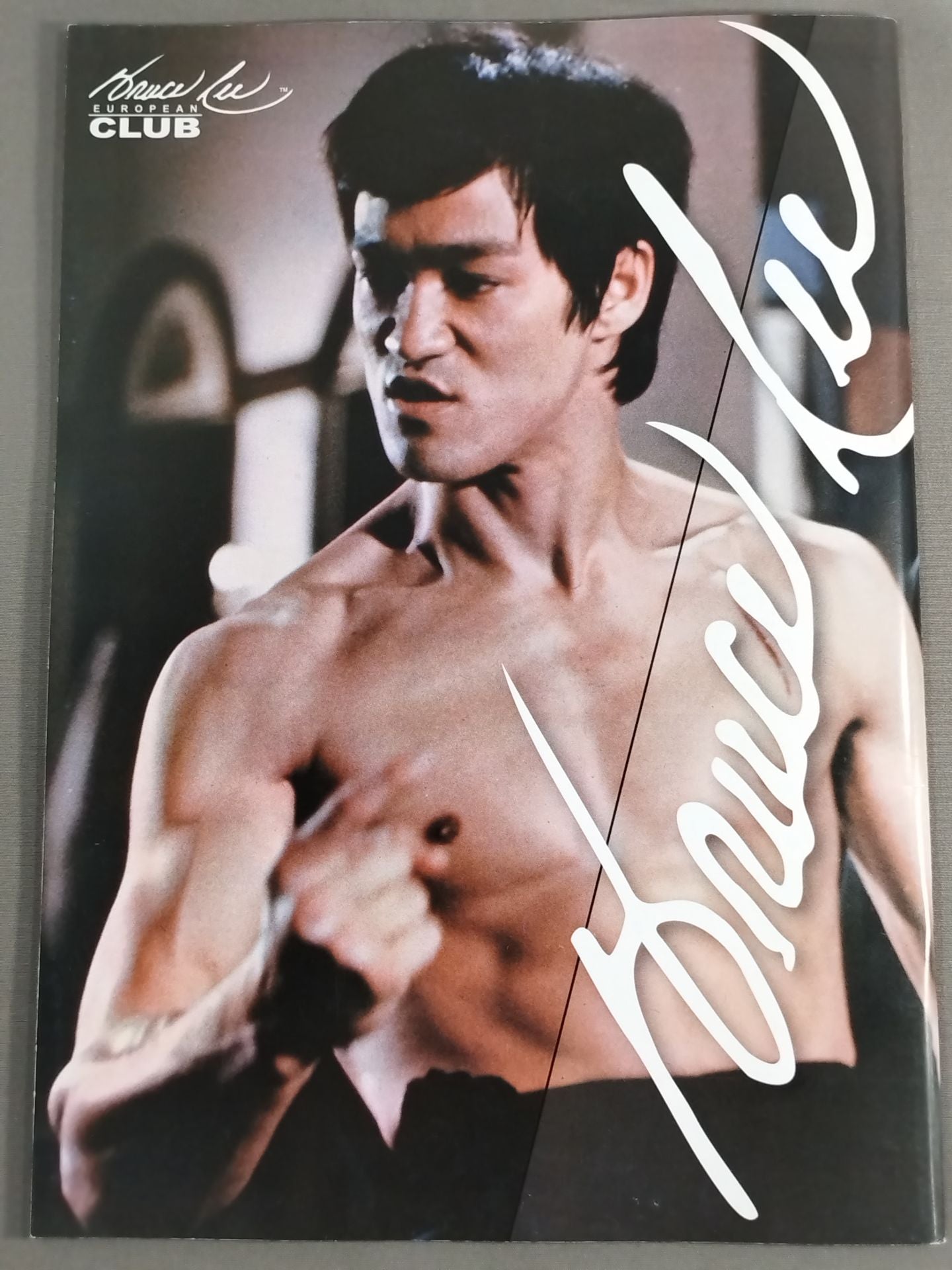 BRUCE LEE MANIA No.7