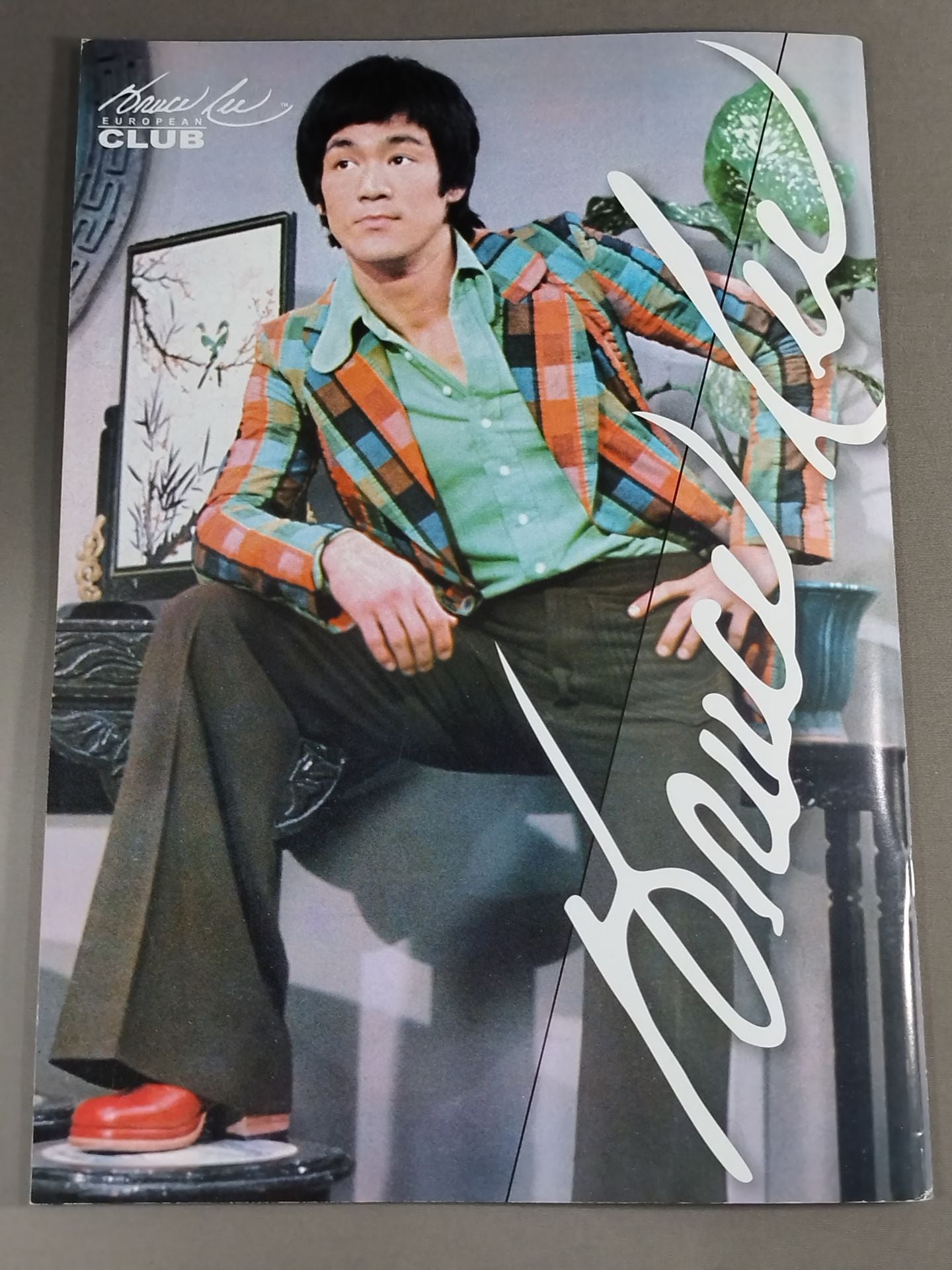 BRUCE LEE MANIA No.9