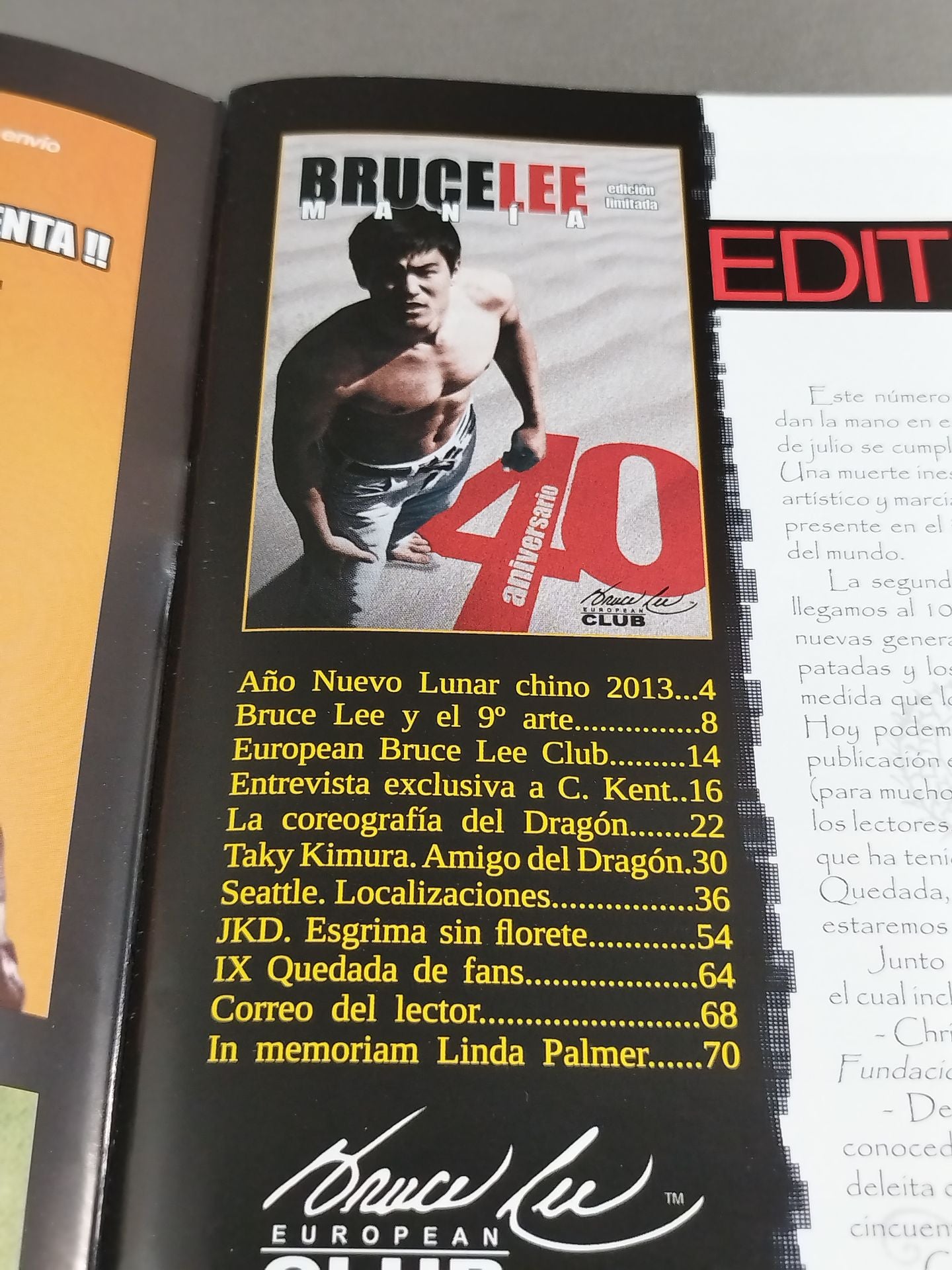 BRUCE LEE MANIA No.10
