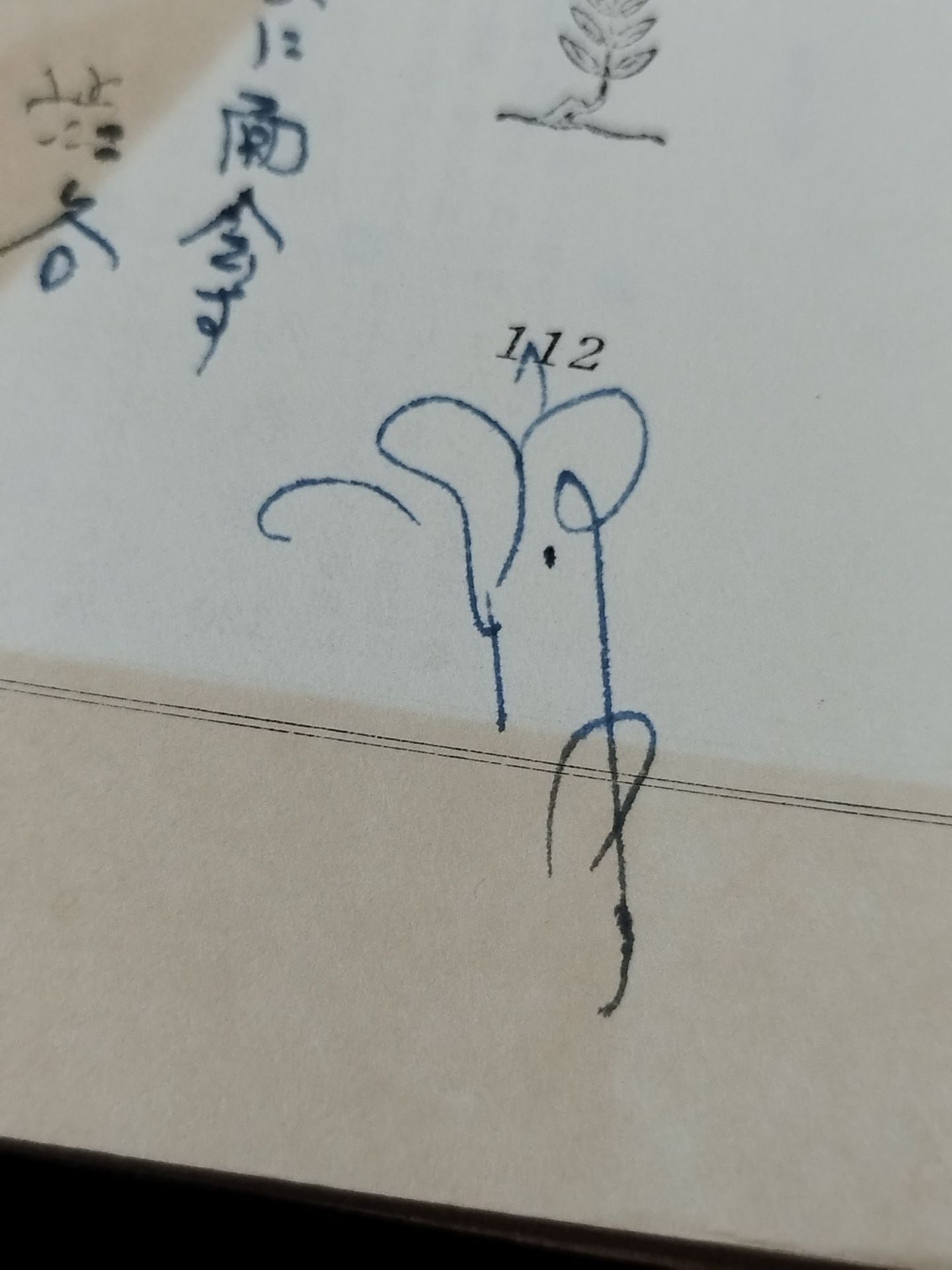 ★ Mas Oyama (Masutatsu Oyama) 1957 Lao Tzu with handwritten notes ★