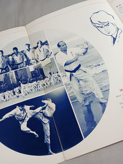 極真会館しるべ / 極真奨学会パンフレット