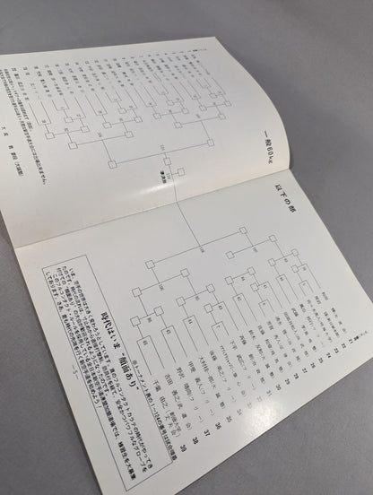 1st New KARATE Road Chiba Tournament