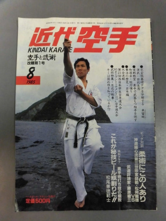 Modern KARATE  15
