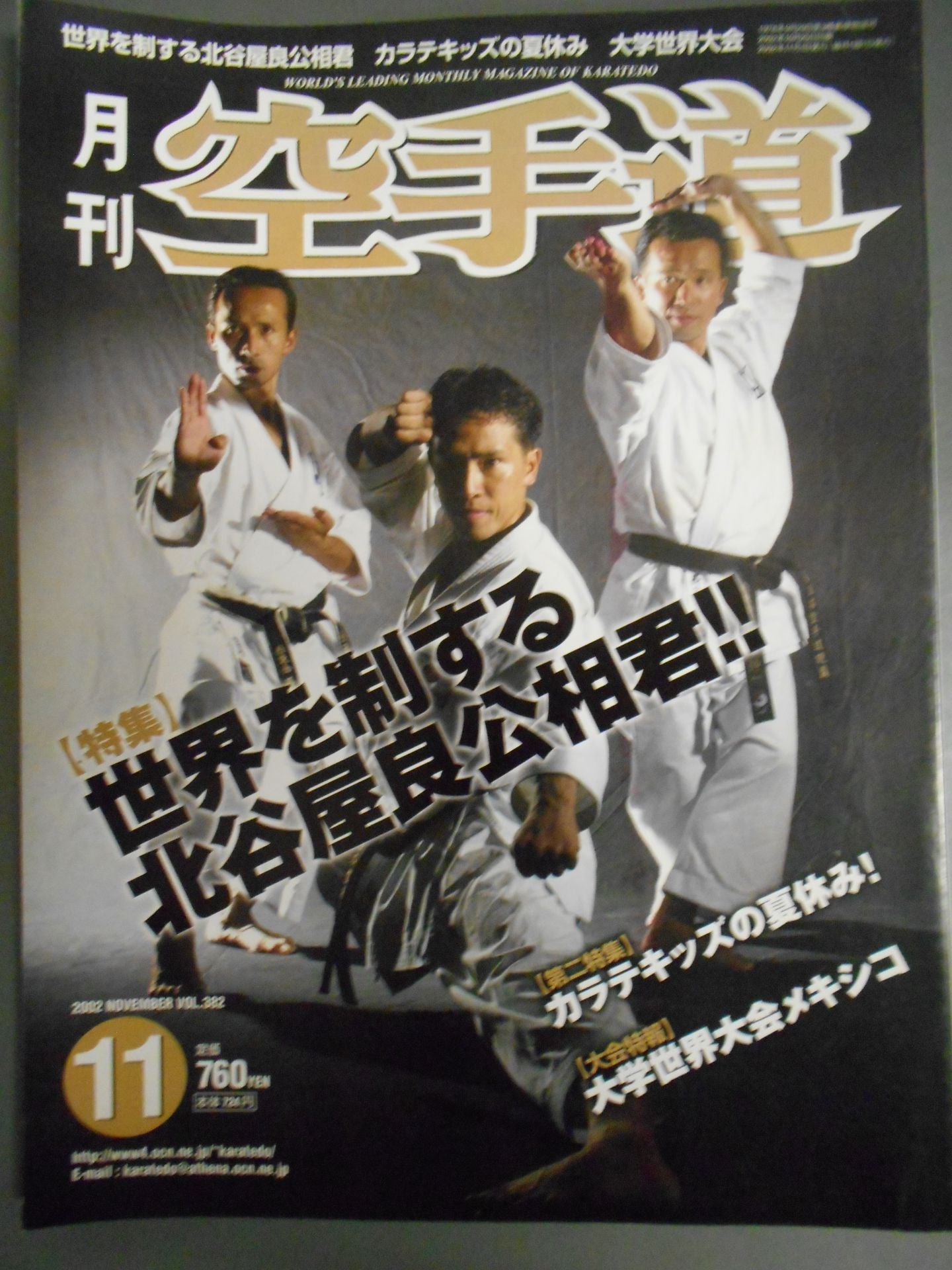 KARATE MITICHI 382 MONTHLY