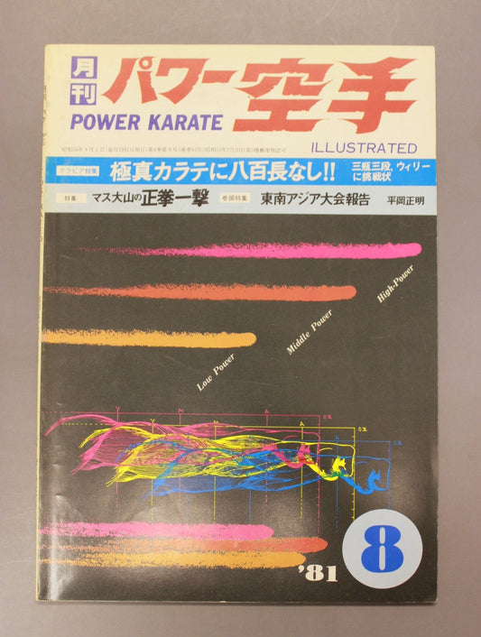 POWER KARATE 42