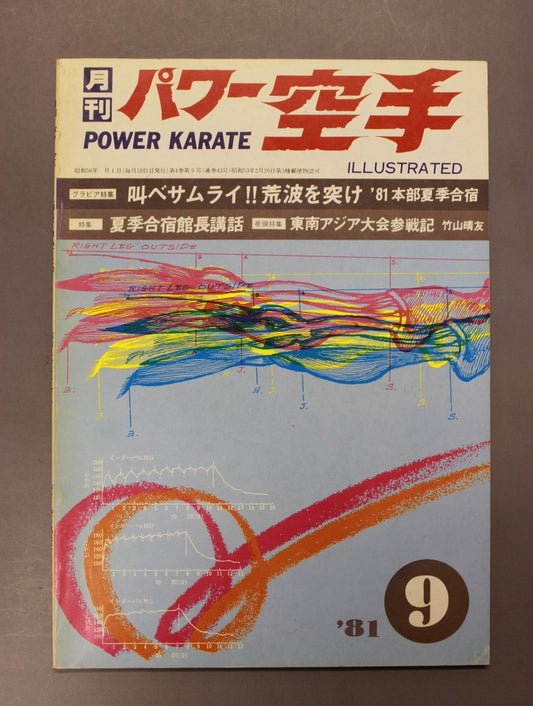 POWER KARATE 43