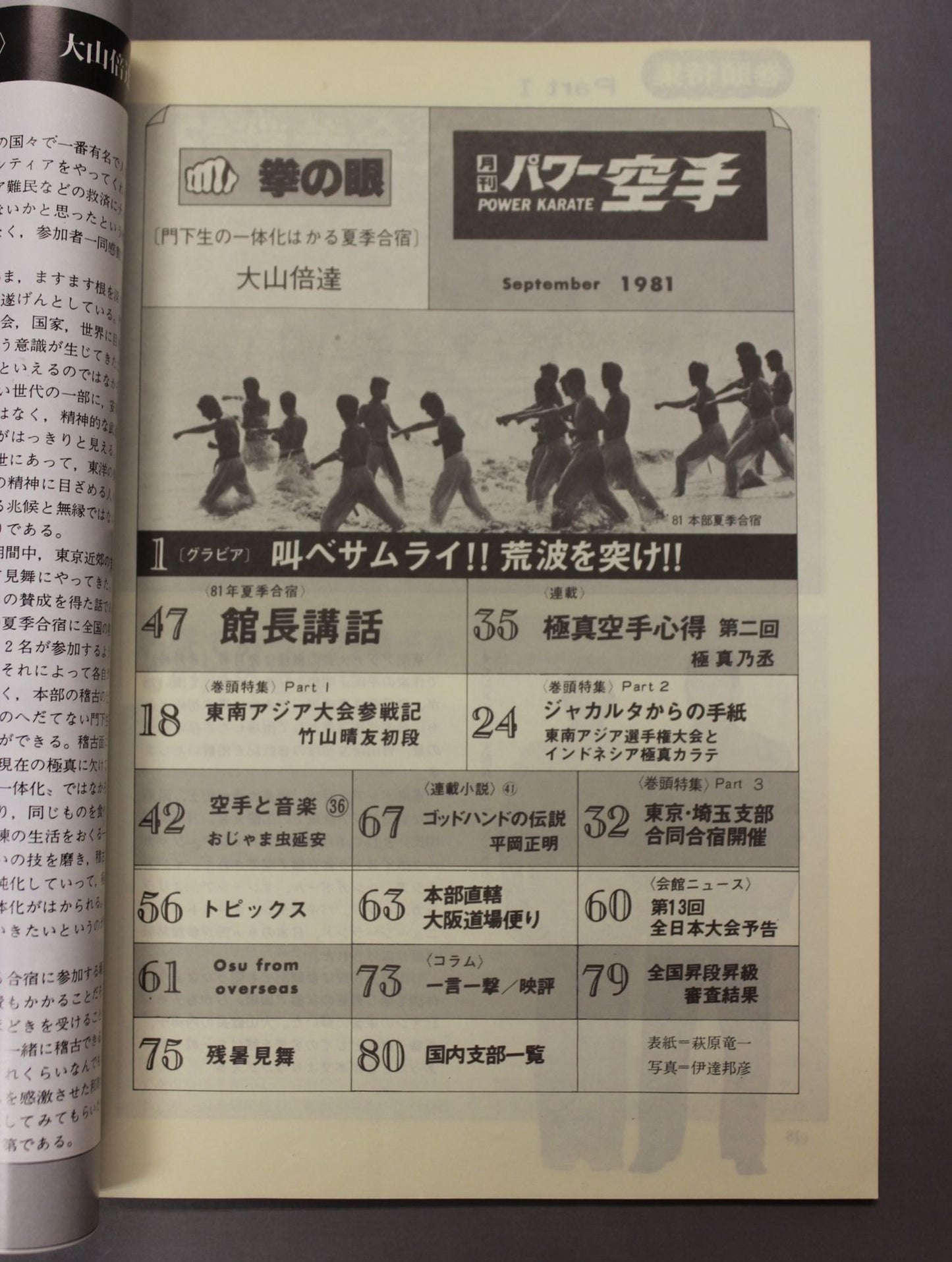 POWER KARATE 43