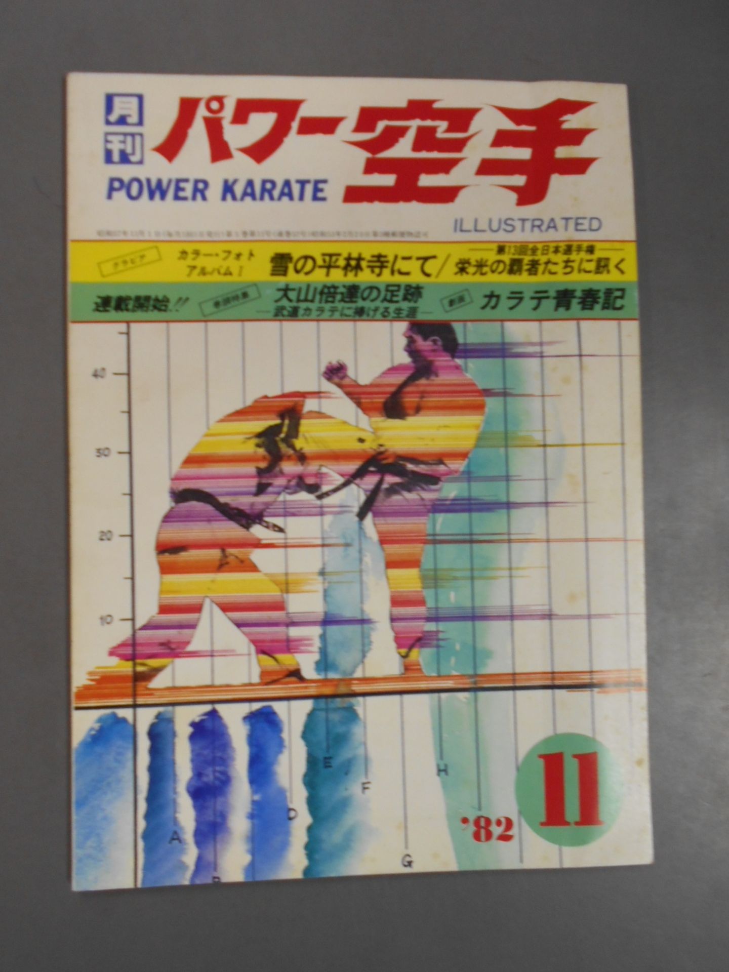 POWER KARATE 57
