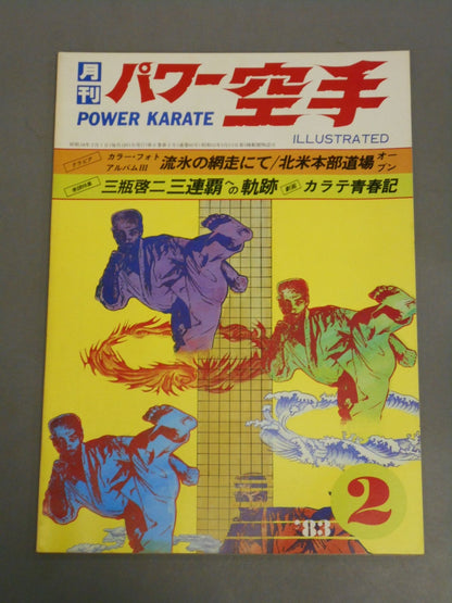POWER KARATE 60