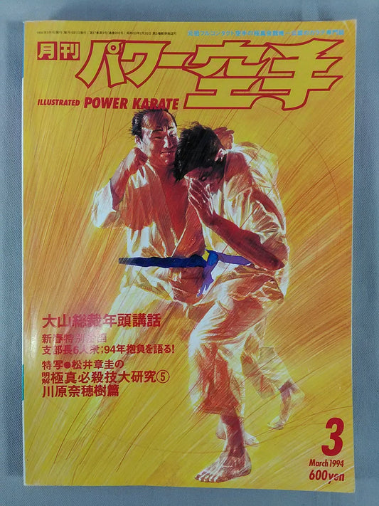 POWER KARATE 202