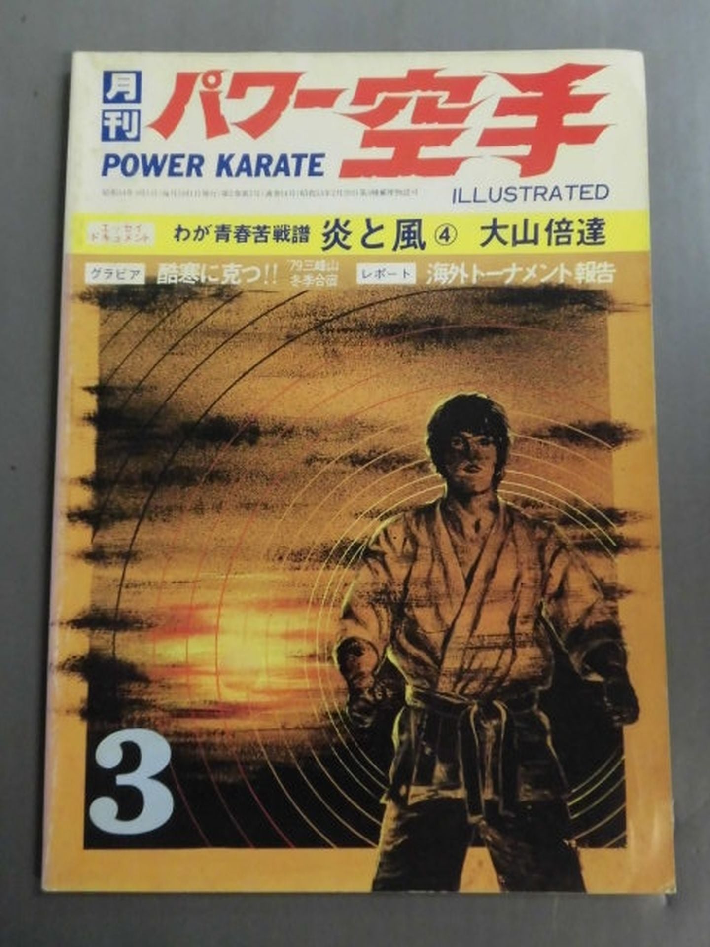 POWER KARATE 14